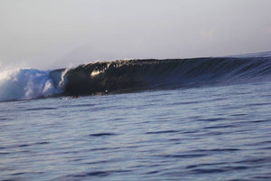 Perfect wave on Surf Trip